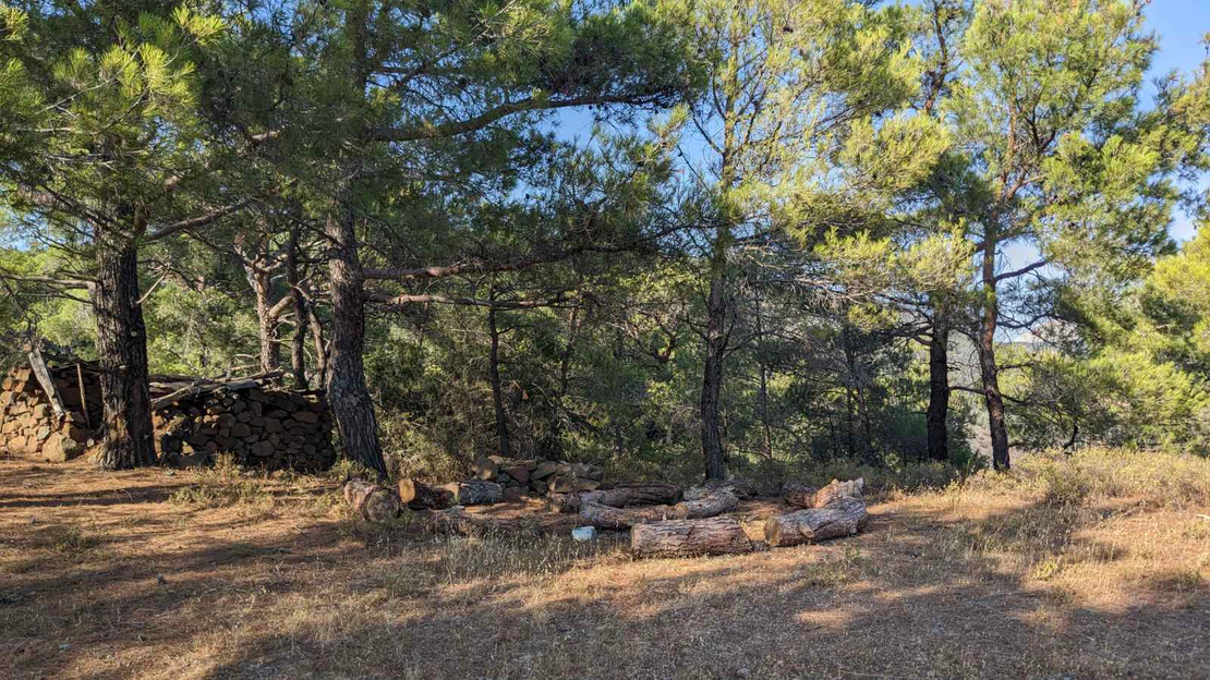 Μονοπάτια και Πάρκο Ρυτίνης